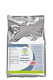 manako Kollagen Hydrolysat Collagen, 500 g Beutel (1 x 0,5 kg)