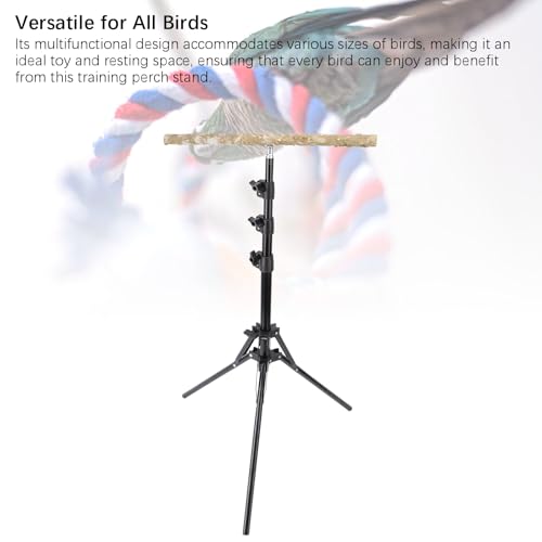 Bird Training Poleiro Stand Bird Play Stand Sturdy 61.81in Multifunções Pepper Wood Parrot Poleiro S