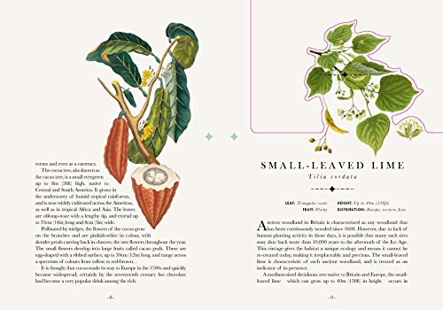 The Tree: The Book that Transforms into a Work of Art