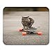 Produktbild Mauspads Coon Grey Silly Cat auf elektrischem Skateboard Board Maine Mouse Pad für Notebooks, Desktop-Computer-Matten Büromaterial