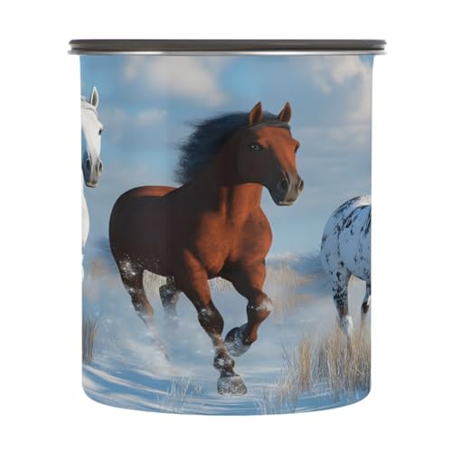Contenedor al vacío para café Qilmy acero inoxidable 500 ml miniatura 2