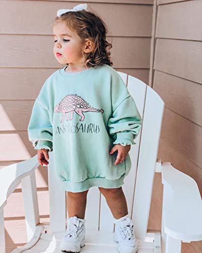 Cute Toddler Baby Girl Boy Dinosaur Sweatshirt Long Sleeve Dino Letters Print Pullover Shirt Top Fall Winter Outfit (Green, 2-3T) #TOP2