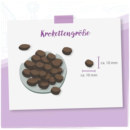 Venandi Animal Vet - Premium Trockenfutter für Katzen - Diät - Renal - Niereninsuffizienz - Huhn, 1er Pack (1 x 0,3kg), getreidefrei