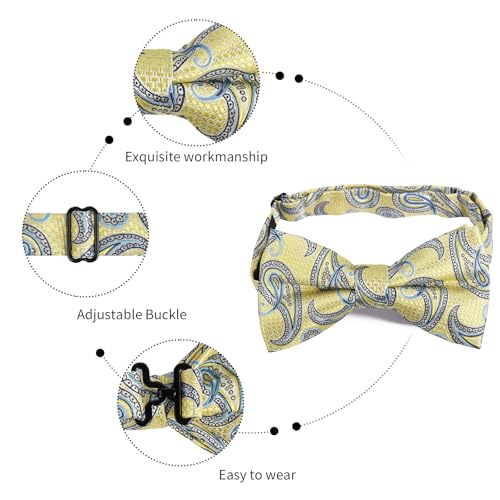 Image of Alizeal Mens 4pcs Vintage Paisley Bow Tie Set