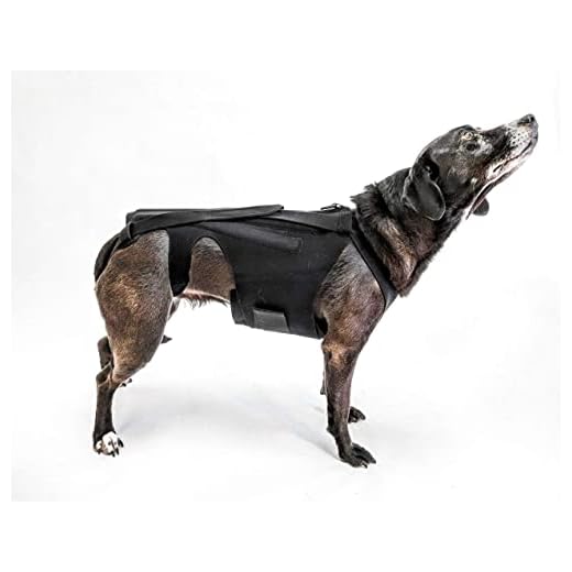 L’il Back Bracer for IVDD in Small Dogs, Arthritis, Spinal Surgical Recovery, Herniated Disc, Slipped Disc, Rehabilitation – Dachshunds, Corgis, Medical Grade Breathe-O-Prene Fabric (Large)
