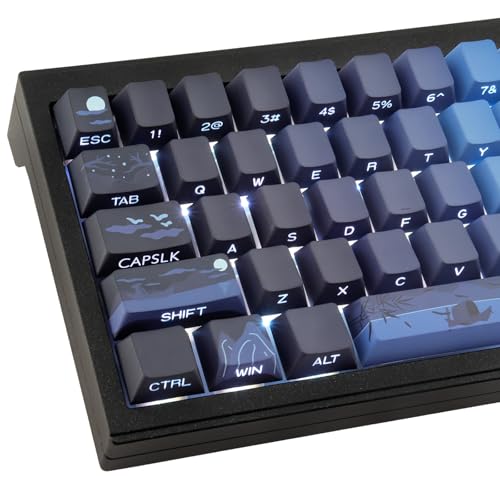 Touches transparentes JakeTsai gravées de côté en PBT pour commutateur Cherry MX