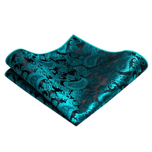 Image of JEMYGINS Mens Solid Color Paisley Necktie and Pocket Square with Tie Clip Sets