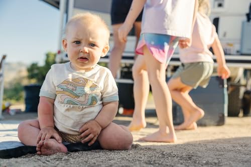 DOMETIC CFX2 28 - Tragbare Kompressor Kühlbox 28L mit APP-Steuerung - 12/24V 100/240V mit Batterieschutz - Elektrische Kühlbox, Gefrierbox Auto - USB