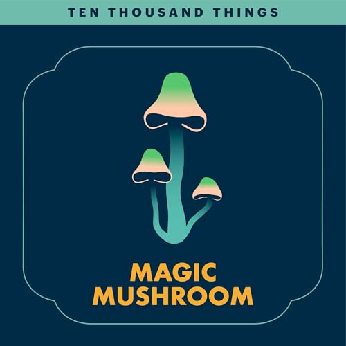 Magic Mushroom