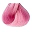 Pink Petal