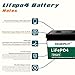OGRPHY 36V Lithium Battery, 3.84KWh Golf Cart Batteries with 200A BMS, 25A Lifepo4 Battery with Charger, 1000A Peak Current Perfect for Golf Cart, Solar, Trolling Motor(100AH)
