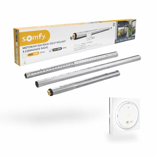 Somfy 1245875 Kit de Motorisation pour Volet Roulant pour Porte-Fenêtre RMS 2600 Radio IO - Compatible avec Volets rénovation, Tunnel, Bloc-Baie –...