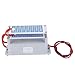 Generatore di ozono, generatore di ozono integrato Pulizia di piatti in ceramica per uso domestico Generatore di ozono 10g per essiccatori, lavastoviglie, frigoriferi(220V)