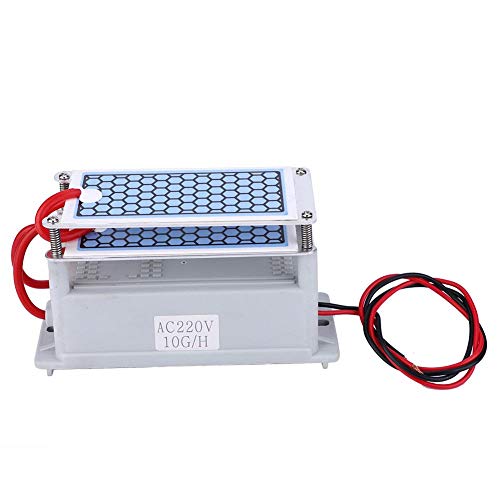 Generador de ozono, generador de ozono integrado Limpiador de placas de cerámica para el hogar Purificador de olores Generador de ozono 10g para secadoras, lavavajillas, refrigeradores(220V)