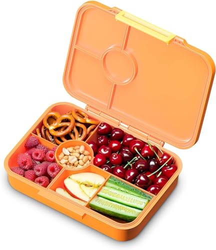 Schmatzfatz Lunch Box per Bambini con Scomparti, Bento Box Porta Pranzo, Merenda Colorato e Senza BPA, Sistema Scuola, Anti Perdite e Lavabile in Lavastoviglie
