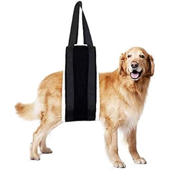 sling to carry large dog