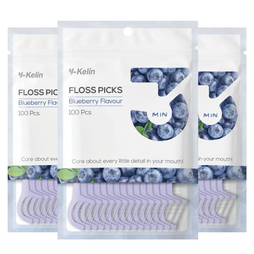 Y-Kelin Hilo dental: 300 palillos de dientes de hilo dental, palillos de dientes, palillos de dientes, púas de hilo dental, limpieza de dientes (arándano, 300 piezas)