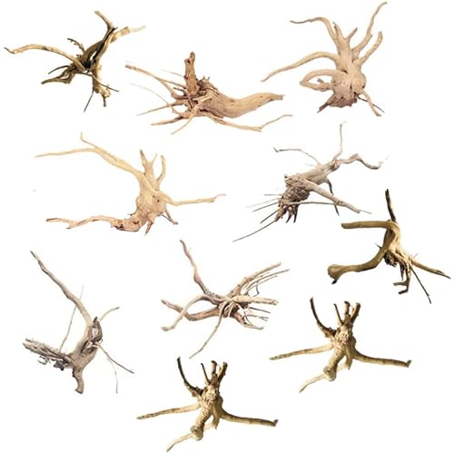 Surluoen Mini Driftwood para Acuario Ramas de Madera Natural Decoraciones para Peceras de áRbol Driftwood Surtido (Paquete de 10)