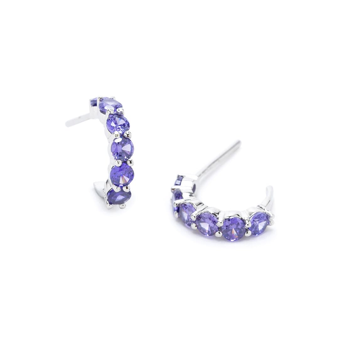 925 Sterling Silver Amethyst Zircon Hoop Earrings | Gift for Women & Girls | Certificate of Authenticity and 925 Stamp | March By FableStreet (B0C8NRX2SW) Amazon Price History, Amazon Price Tracker