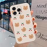 hdqICase