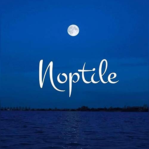  Noptile