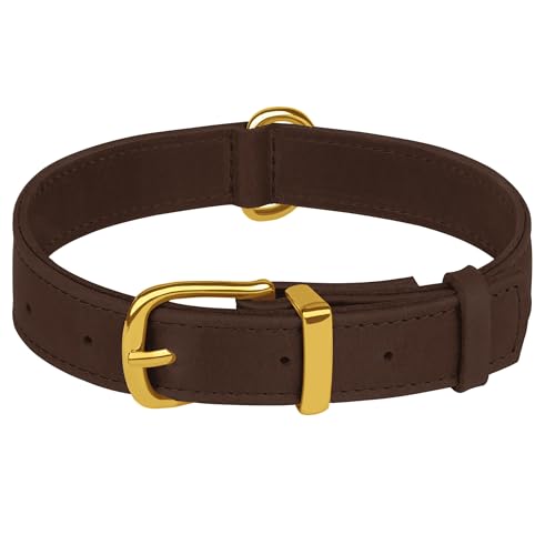 Collar de cuero para perro ajustable L 15-19 pulgadas miniatura 2