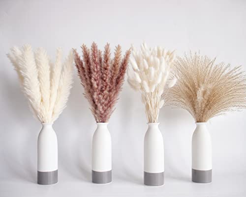 image for ANPROOR Natural Dried Pampas Grass Decor, 100 PCS Pampas Grass Contain