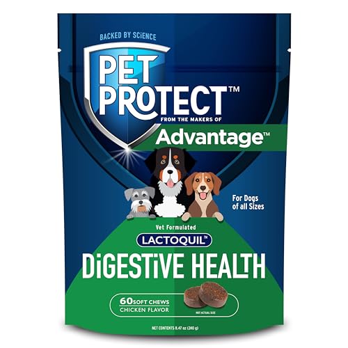 Pet Protect Digestive Health Supplement with Probiotics for Dogs, Vet-Formulated Lactoquil, Chicken-Flavored Soft Chews (60 Count)