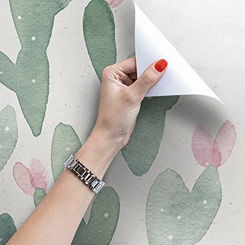 Fotomurale autoadhesiva de cactus para decorar dormitorios y salones modernos 4