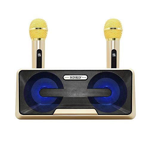 Microphone LLD SD-301 avec double micro sans fil et haut-parleur Bluetooth doré