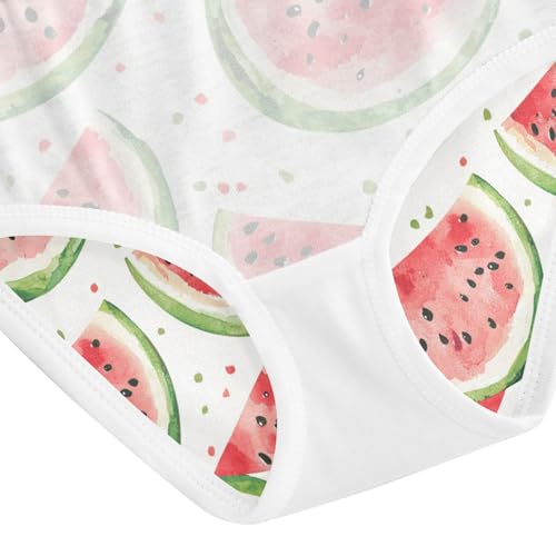 ZZKKO Watercolor Watermelon Girls Underwear Toddler Panties for Girls Comfort Brief Size 2-8T4