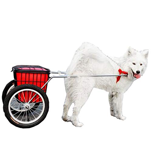 Remolque para Mascotas Remolque para Perros Remolque para Perros Grandes Y Pequeños Remolque para Perros Cachorro De Dos Ruedas Artículos para Tirar Coche para Mascotas,Rojo