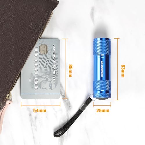 EverBrite 18tlg. LED Taschenlampen Set, mini kleine Taschenlampe mit Lanyard und 54 AAA Batterien, Mitgebsel Gastgeschenke Handlampe für Notfall, Outdoor, Camping