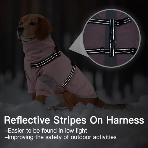 Chaqueta para perro XXL que soluciona el frío extremo y los tirones 5