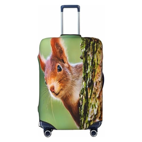 Cute Squirrel Luggage Cover for Suitcase, Suitcase Cover Protector Fit 18-21 Inch Luggage Travel Accessories, S