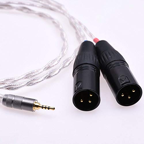 GAGACOCC 2.5mm TRRS Male to 3Pin XLR Balanced Audio Adapter Silver Plated Shield Cable for Astell&Kern SP1000 AK100II AK120II AK240 AK380 AK320 DP-X1(1meter (3Ft), 3Pin XLR Male)
