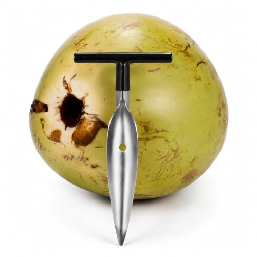 Image of Stainless Steel Coconut Opener Tool with T-Handle | Tender Coconut Piercing Drill for Fresh Young Coconuts | Rust Resistant Coconut Water Opening Tool (Pack of 1)