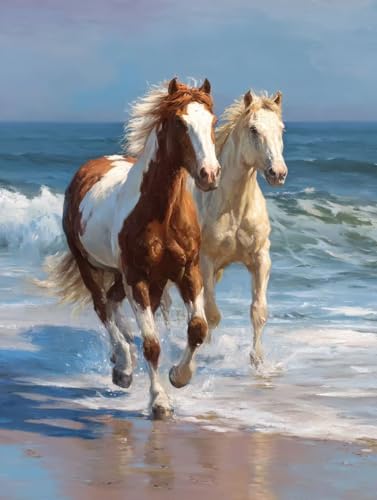 数字油絵初心者向け DIY アクリル絵の具塗り絵キット、Paint by Numbers子供と大人ハンド塗り絵馬の砂浜インテリア装飾ペイントバイナンバー 絵画手芸ストレス解消DIY手描、インテリア 家の壁の装飾、40x60cm/16x24インチ(フレームレ