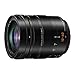 Panasonic LUMIX Professional 12-60mm Camera Lens, Leica DG Vario-ELMARIT, F2.8-4.0 ASPH, Dual I.S. 2.0 with Power O.I.S, Mirrorless Micro Four Thirds, H-ES12060 (Black)