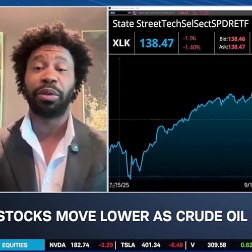 Market is &lsquo;On Sale&rsquo; for Long Term Investors: Defense, Consumer Staples, Metals Podcast Por  arte de portada