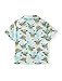 Disney Star Wars Yoda Boys Hawaiian Shirt Beach Apparel Button Up Shirts for Toddler Boy Tropical Shirts Summer Kids Tourist Outfit Short Sleeve Floral Shirt Spring Children Clothes Green 8-9 Years