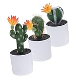Photo Gallery gleavi 3 pezzi piante finte cactus in vaso decorativo da bonsai artificiale realistico ornamentazione succulenta imitazione per relax Photo Gallery gleavi 3 pezzi piante finte cactus in vaso decorativo da bonsai artificiale realistico ornamentazione succulenta imitazione per relax