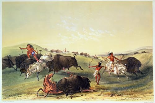 Peinture murale George Catlin : créez une ambiance évasion et nature dans votre salon