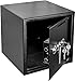 Genie Hand – Dual Lock Safe Box (Depository)