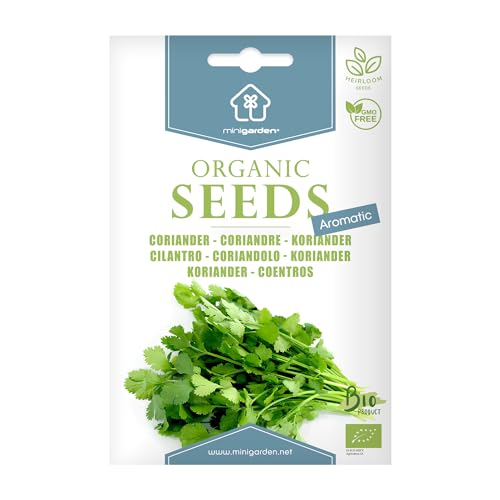 Cilantro, Semillas orgánicas certificadas listas para crecer, 100% natural sin propagadores químicos ni ingeniería genética, contiene entre 240 y 300 semillas