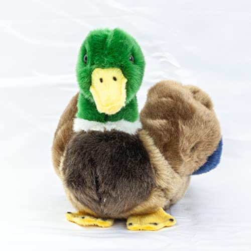 Teddys Rothenburg Plüschtier Ente 20 cm grün/schwarz/braun/blau Plüschente Kuscheltier