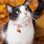 2 Pack Cotton Breakaway Cat Collar Pink Strawberries and White Heart Shaped Pendant Cute Kitten Cat Collar with Bell - Image 6