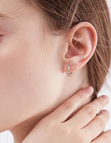 6 Pairs Stainless Steel Small Huggie Hoop Earrings Sets for Women Men Cartilage Helix Tragus Lobes Sleeper Hoop Earring Jewelry for Multiple Piercing 6mm 8mm 10mm 12 mm Silver Gold Tone4