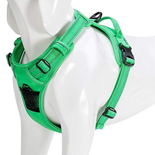 WINHYEPET True Love Dog Harness, No-Pull Reflective Pet Harness with 2 Leash Clips Adjustable Soft Padded Dog Vest with Easy Control Handle for Small Medium Large Dog TLH5651(Grass Green,XS)