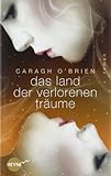 Das Land der verlorenen Träume: Roman
